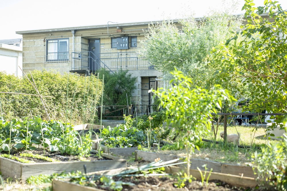 芦屋・旧宮塚町住宅の「CITY FARM CLUB」で暮らしに農を取り入れてみませんか？