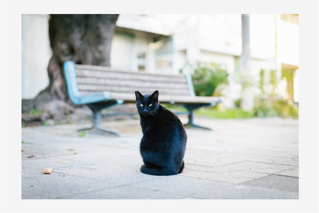 ダルマ自転車がゆく! 第1回 @ 第二公園