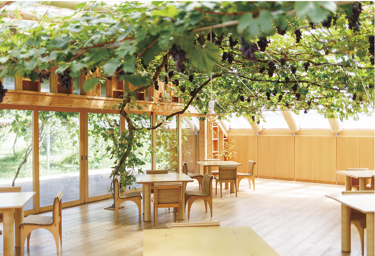 【金沢】地域に新たな“巡り”を生み出すサスティナブルジン。「MORI NO NIWA」オープン！