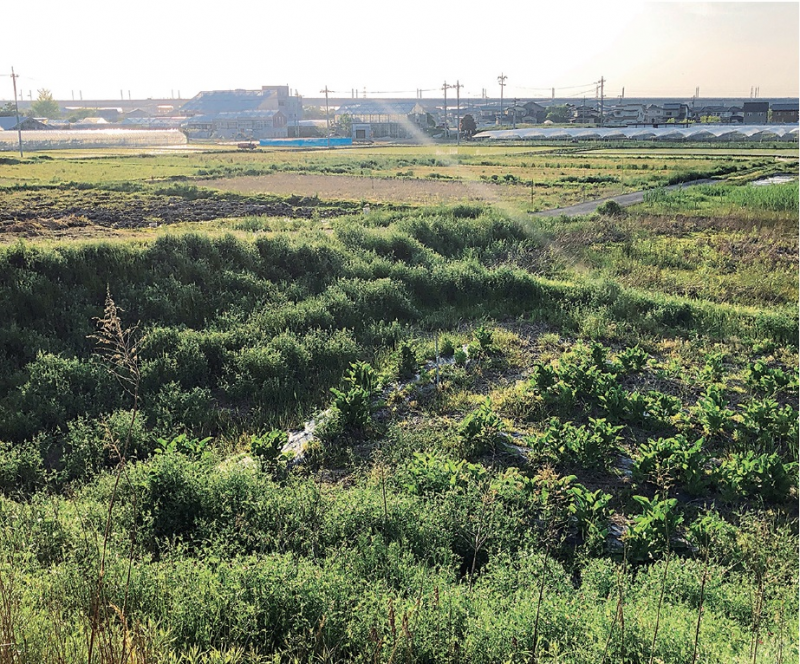 【金沢】地域に新たな“巡り”を生み出すサスティナブルジン。「MORI NO NIWA」オープン！