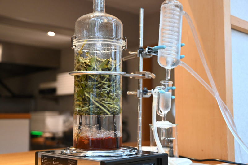 【金沢】地域に新たな“巡り”を生み出すサスティナブルジン。「MORI NO NIWA」オープン！