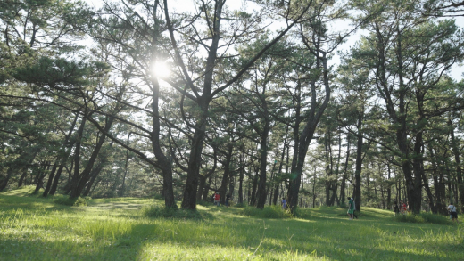 タダイマ、オオスミ。ツアー 〜地元の人とつながる編〜