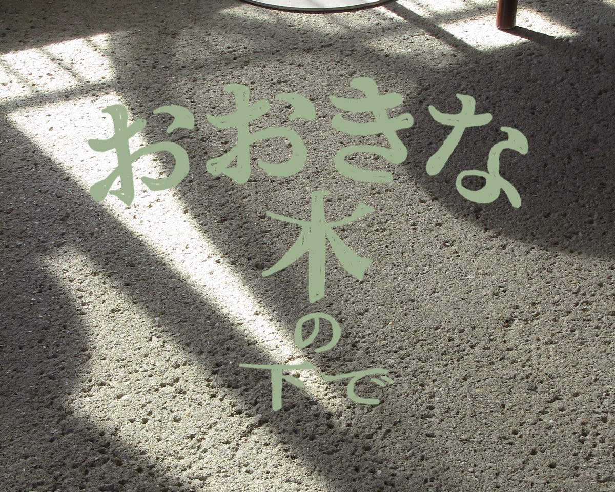 マルシェは“まち”のはじまりだった——おおきな木の下で育つ夢