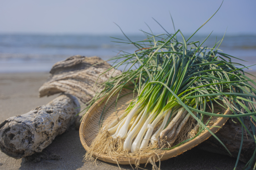 【鹿児島県南九州市】農業の発展につながる橋渡し役として、食の可能性を探究し、希望の道筋をともに見出す / 有限会社エスランドル 上釜勝さん・文子さん
