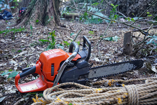 【鹿児島県出水市】手の届く世界の循環を守り、200年先もあり続ける森へ / 株式会社WOODLIFE 中尾雄基さん