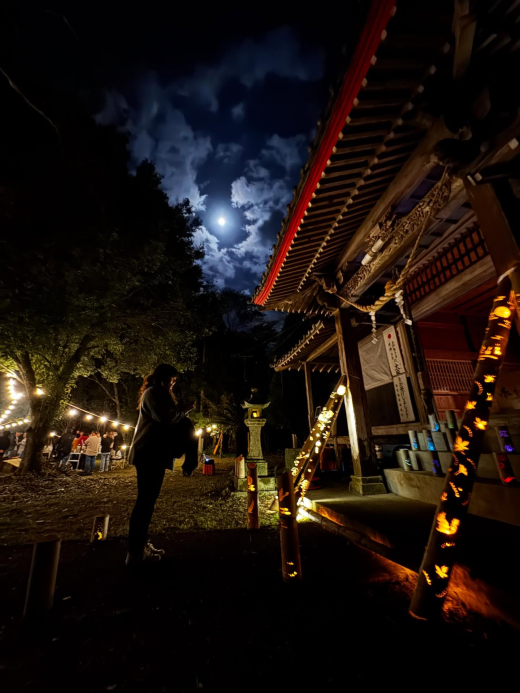 【鹿児島県出水市】手の届く世界の循環を守り、200年先もあり続ける森へ / 株式会社WOODLIFE 中尾雄基さん