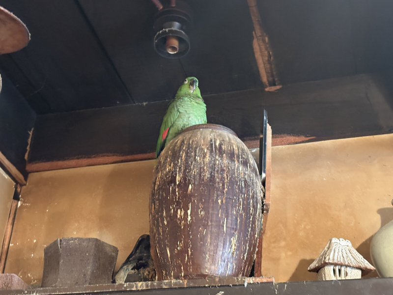 【北九州】流行りよりも文化を信じて。半世紀を超えて愛され続ける『ドン珈琲館』