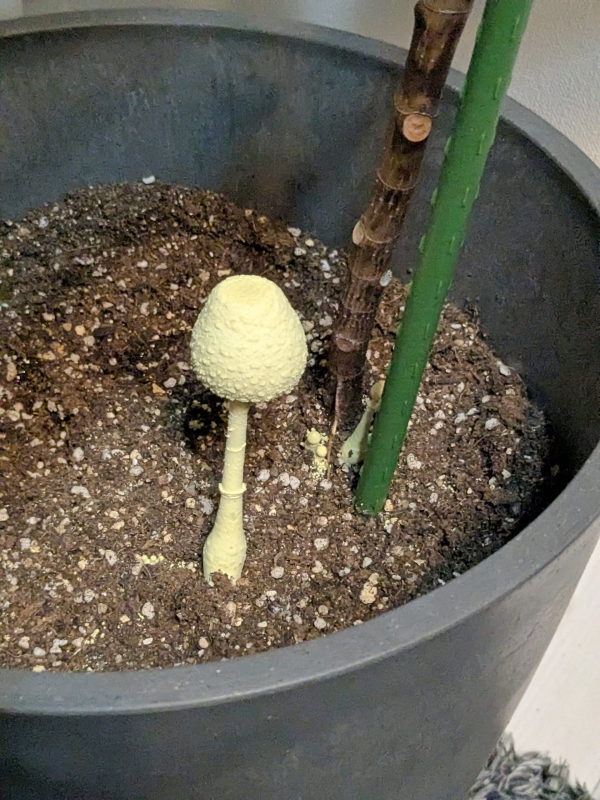 【北摂】大阪R不動産スタッフの家探し