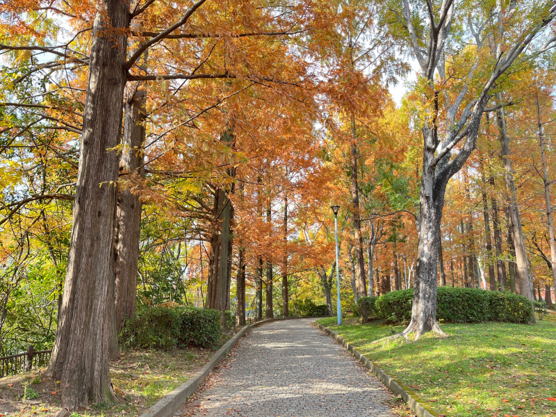 【大阪まち歩き】都会で自然と暮らせる場所・都島区