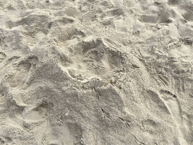 【大阪まち歩き】都会で自然と暮らせる場所・都島区