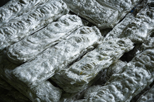 【鹿児島県大崎町】3-Day Designing Camp Day 1 レポート