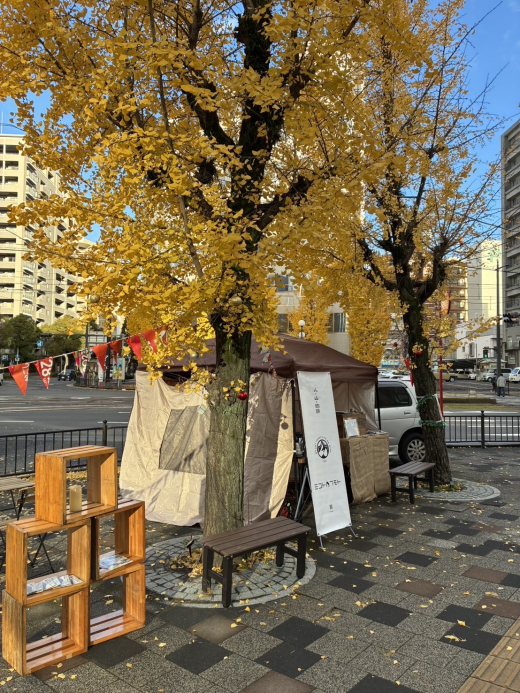 鹿児島市社会実験 『やどり木パーク』〜プレイスメイキングから考えるまちづくり〜