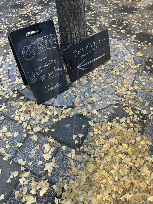 鹿児島市社会実験 『やどり木パーク』〜プレイスメイキングから考えるまちづくり〜