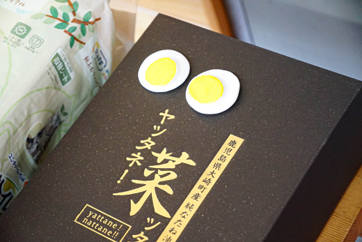 【鹿児島県大崎町】3-Day Designing Camp Day 3 レポート