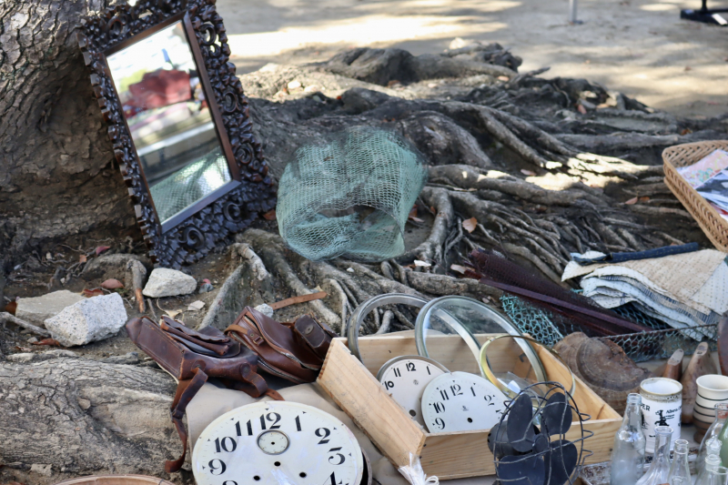 大阪最大級の蚤の市『四天王寺骨董市』で掘り出し物を探してきた！