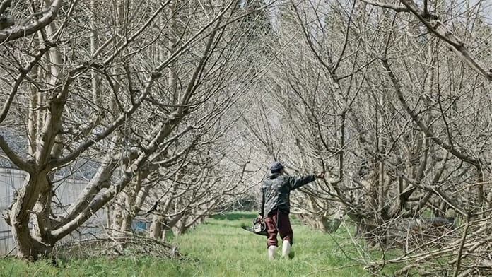 【能登】“その先”を見つめ続けて。／奥能登ドキュメンタリー映画『先に棲む 〜こちら高屋〜 』