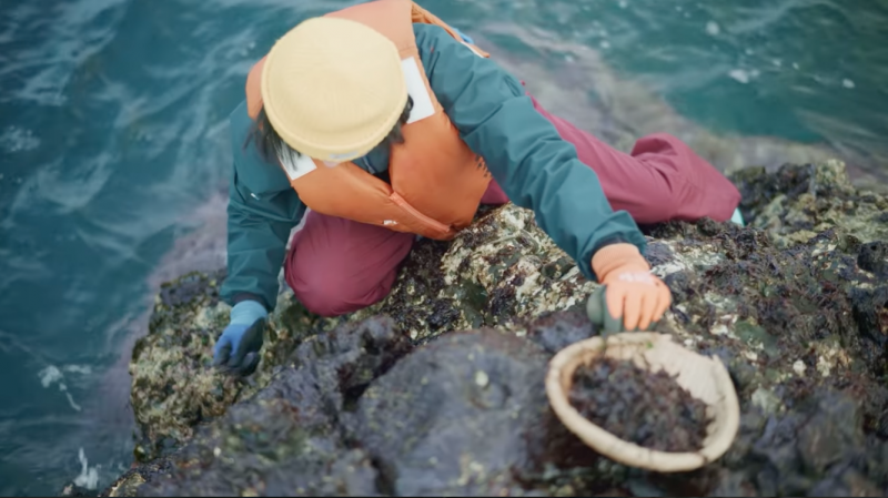 【能登】“その先”を見つめ続けて。／奥能登ドキュメンタリー映画『先に棲む 〜こちら高屋〜 』