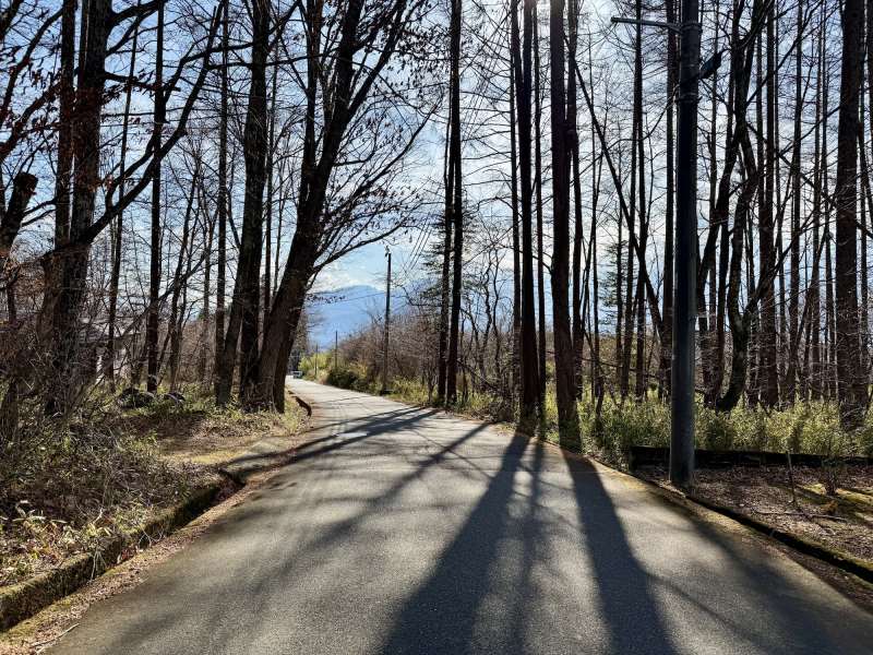 南アルプスの衝立(土地2287㎡・2767万円) / 山梨県北杜市長坂町小荒間
