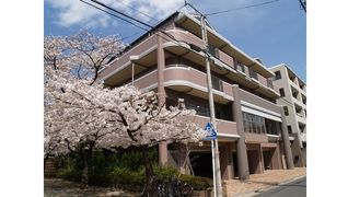 医療法人真和会 セレッソ日吉