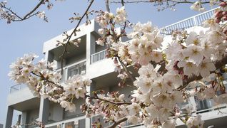 デイサービスセンター梨花苑