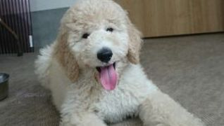 ケアセンターとこしえ美郷台