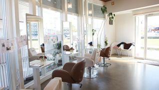 ヘアー ラッセル