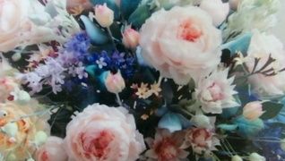 あおぞらネット春日部