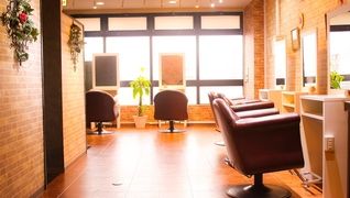 D best hairlounge