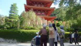 デイサービスなごみの森 世田谷中町