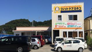 フィットケアカネコ
