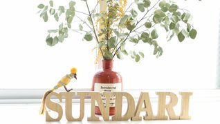 sundari