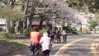 ウルルお散歩くらぶ駒沢公園南