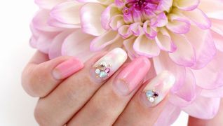 Pricilla 博多店