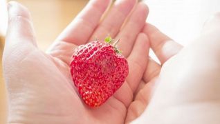 はないちもんめケアセンター