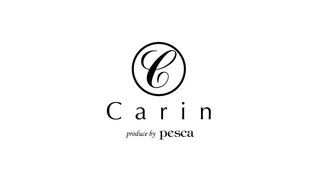 carin 元住吉