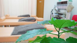 新規オープンの整骨院