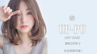 ART HAIR UP-PU