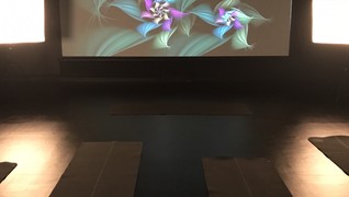 YOGA-yju stage-