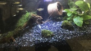 株式会社一期一会