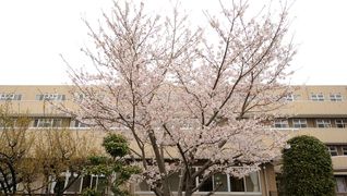 介護老人保健施設白梅ケアホーム