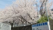店舗詳細画像4
