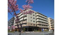 店舗詳細画像2