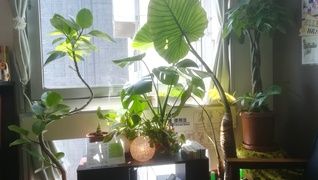 あしカラダ表参道店