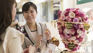 パウダーパレット 西日本エリア