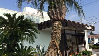 マリブヘアリゾート みどり店