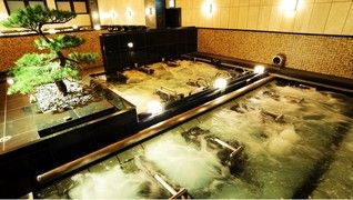 綱島源泉 湯けむりの庄