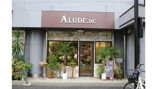 ALUDE.HC (アルーデHC)