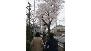特定非営利活動法人暖家 グループホームとくら