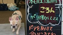 店舗詳細画像5