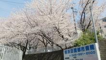店舗詳細画像4